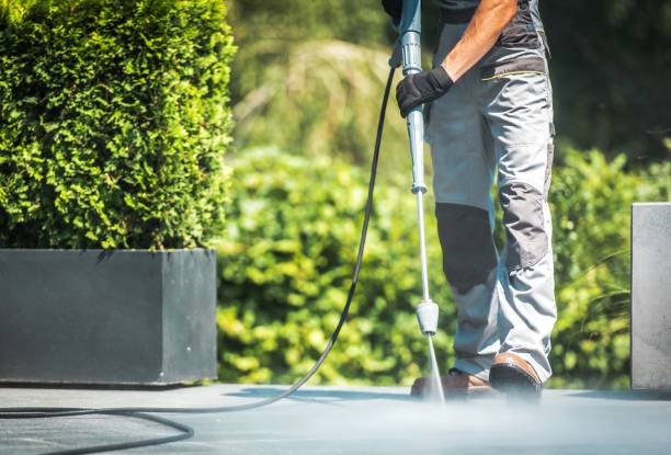 Best Spring Cleaning  in Macon, IL